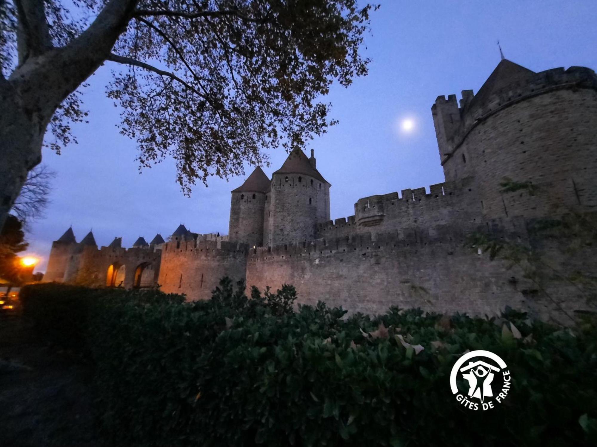 Loft Cocon Climatise - Imprenable Vue Sur Le Chateau Comtal カルカソンヌ エクステリア 写真